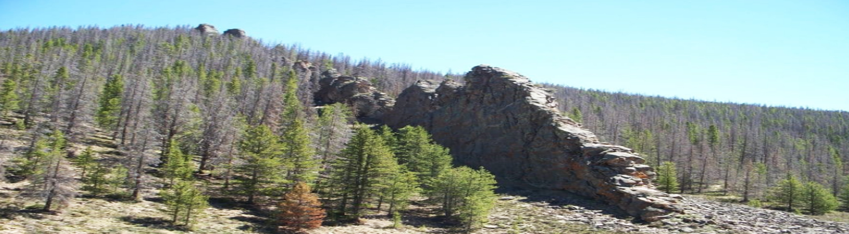 Stonewall, Colorado